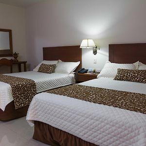 Large Twin Room